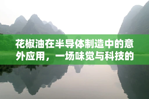 花椒油在半导体制造中的意外应用，一场味觉与科技的跨界探索？