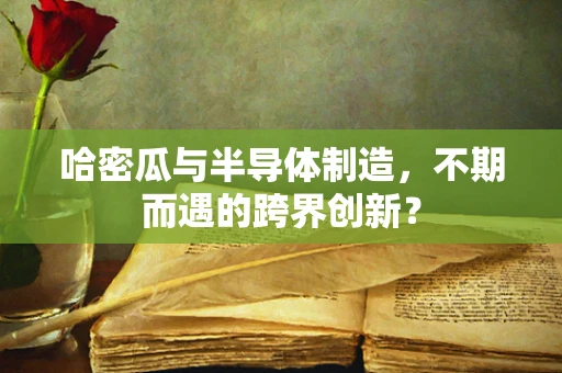 哈密瓜与半导体制造，不期而遇的跨界创新？