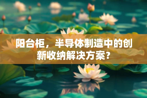 阳台柜，半导体制造中的创新收纳解决方案？