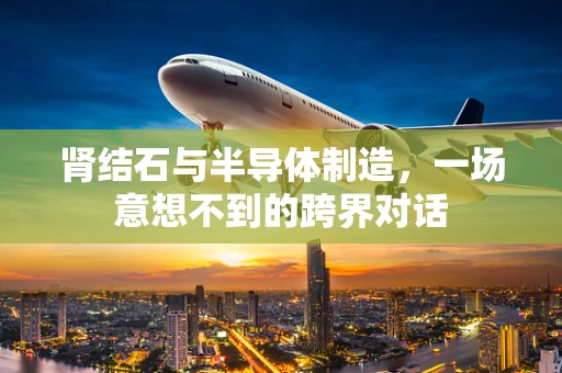 肾结石与半导体制造，一场意想不到的跨界对话