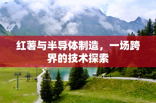 红薯与半导体制造，一场跨界的技术探索