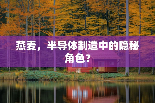 燕麦，半导体制造中的隐秘角色？