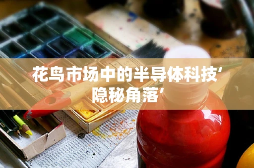 花鸟市场中的半导体科技‘隐秘角落’