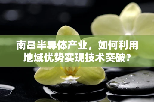 南昌半导体产业，如何利用地域优势实现技术突破？
