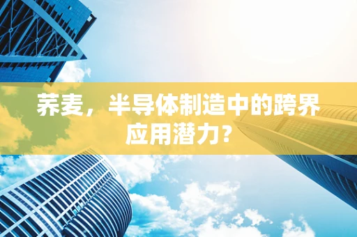 荞麦，半导体制造中的跨界应用潜力？