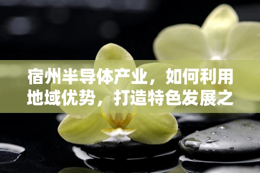 宿州半导体产业，如何利用地域优势，打造特色发展之路？
