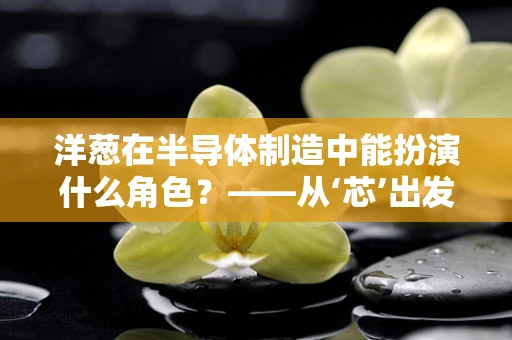 洋葱在半导体制造中能扮演什么角色？——从‘芯’出发的奇妙联想