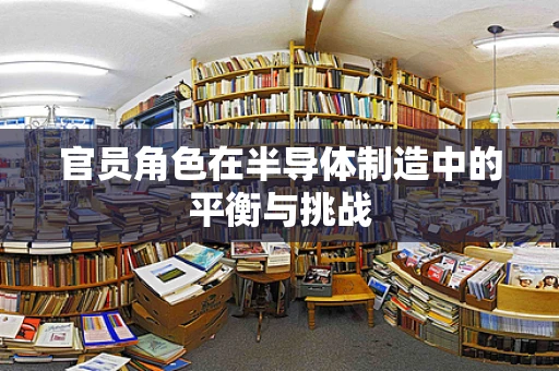 官员角色在半导体制造中的平衡与挑战