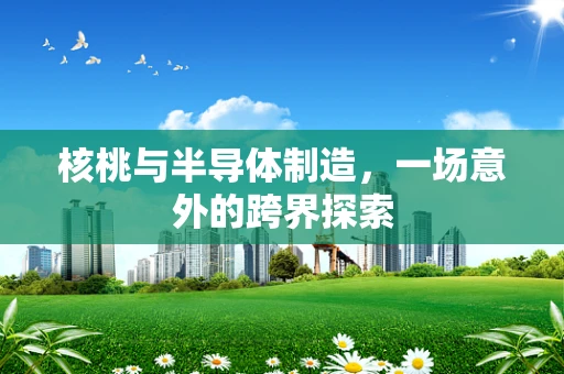 核桃与半导体制造，一场意外的跨界探索
