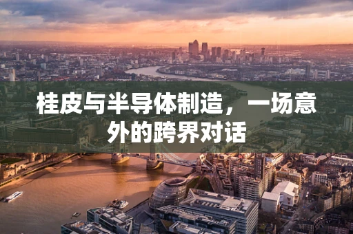 桂皮与半导体制造，一场意外的跨界对话