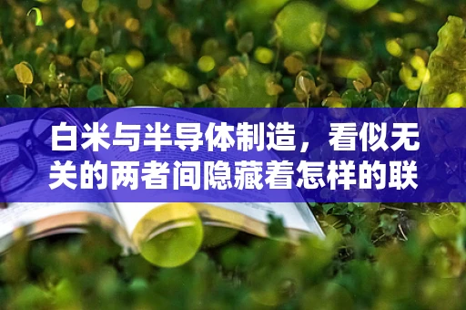 白米与半导体制造，看似无关的两者间隐藏着怎样的联系？