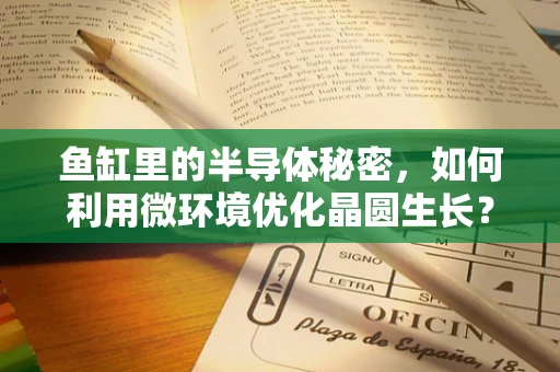 鱼缸里的半导体秘密，如何利用微环境优化晶圆生长？