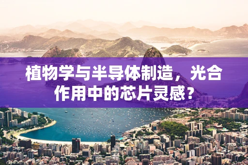 植物学与半导体制造，光合作用中的芯片灵感？