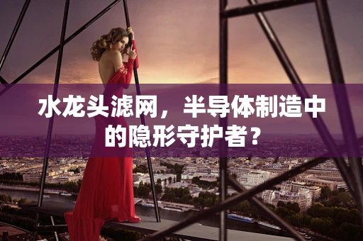 水龙头滤网，半导体制造中的隐形守护者？