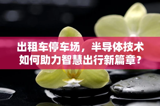 出租车停车场，半导体技术如何助力智慧出行新篇章？