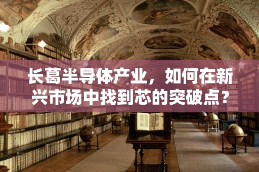 长葛半导体产业，如何在新兴市场中找到芯的突破点？