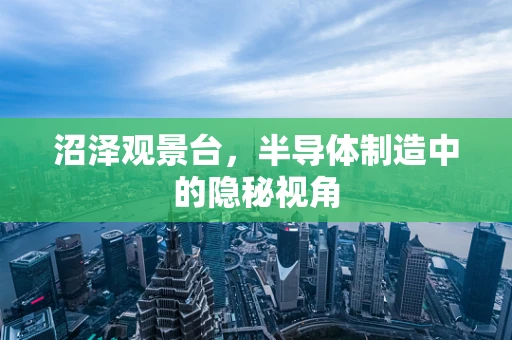 沼泽观景台，半导体制造中的隐秘视角
