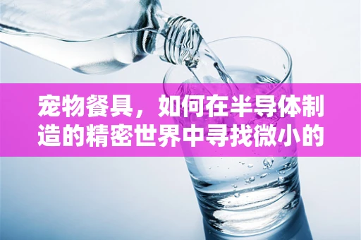 宠物餐具，如何在半导体制造的精密世界中寻找微小的灵感？