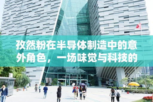 孜然粉在半导体制造中的意外角色，一场味觉与科技的奇妙碰撞？