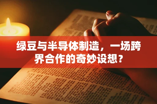 绿豆与半导体制造，一场跨界合作的奇妙设想？