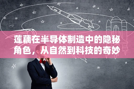 莲藕在半导体制造中的隐秘角色，从自然到科技的奇妙融合