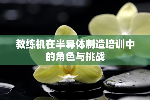 教练机在半导体制造培训中的角色与挑战