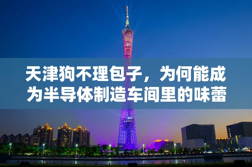 天津狗不理包子，为何能成为半导体制造车间里的味蕾慰藉？