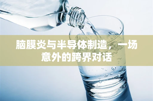 脑膜炎与半导体制造，一场意外的跨界对话
