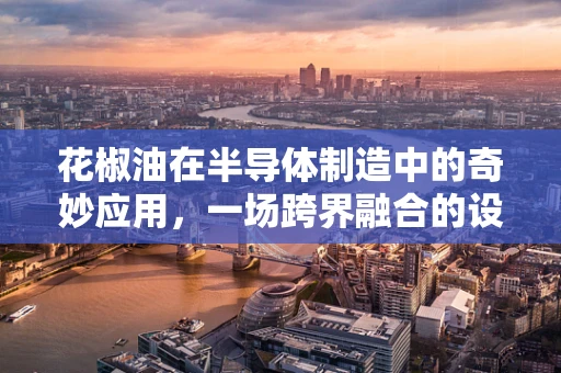花椒油在半导体制造中的奇妙应用，一场跨界融合的设想