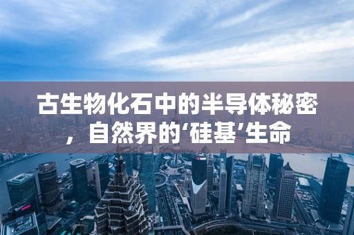 古生物化石中的半导体秘密，自然界的‘硅基’生命