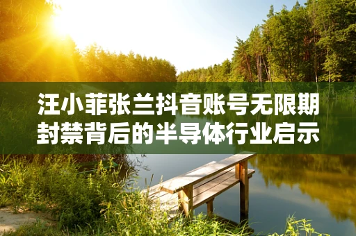 汪小菲张兰抖音账号无限期封禁背后的半导体行业启示