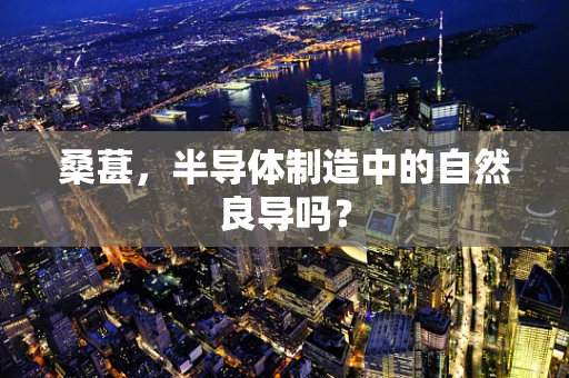 桑葚，半导体制造中的自然良导吗？