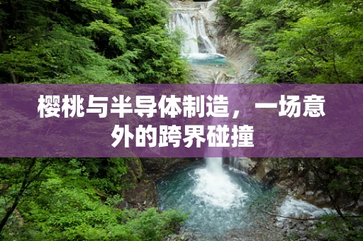 樱桃与半导体制造，一场意外的跨界碰撞