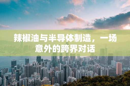 辣椒油与半导体制造，一场意外的跨界对话