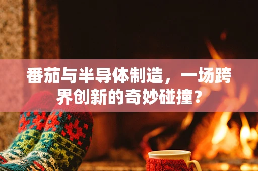 番茄与半导体制造，一场跨界创新的奇妙碰撞？
