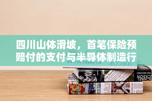 四川山体滑坡，首笔保险预赔付的支付与半导体制造行业的风险应对策略