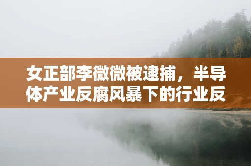 女正部李微微被逮捕，半导体产业反腐风暴下的行业反思与未来展望
