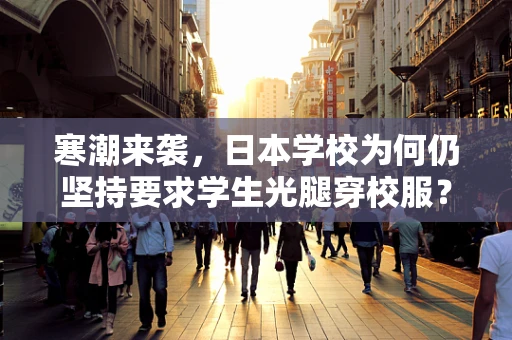 寒潮来袭，日本学校为何仍坚持要求学生光腿穿校服？——一场关于教育理念与安全保障的探讨