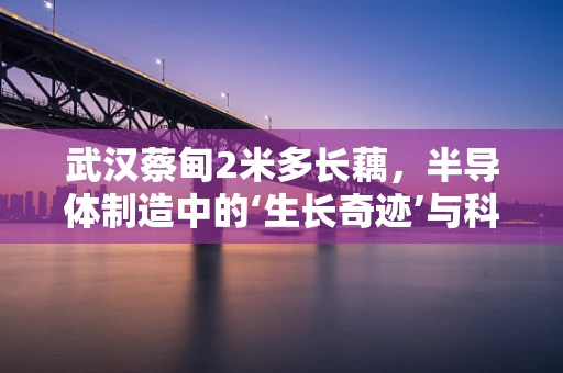 武汉蔡甸2米多长藕，半导体制造中的‘生长奇迹’与科技融合