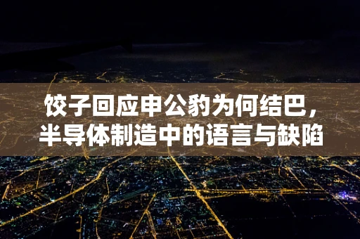 饺子回应申公豹为何结巴，半导体制造中的语言与缺陷