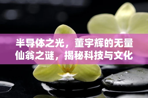 半导体之光，董宇辉的无量仙翁之谜，揭秘科技与文化的跨界奇缘