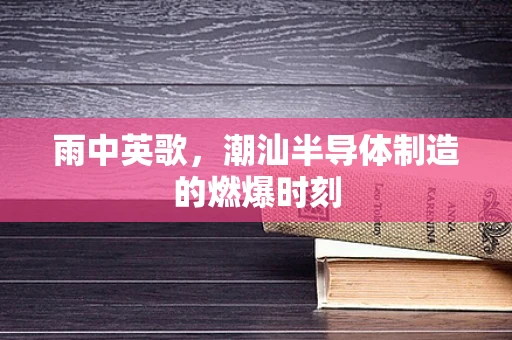 雨中英歌，潮汕半导体制造的燃爆时刻