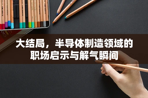 大结局，半导体制造领域的职场启示与解气瞬间