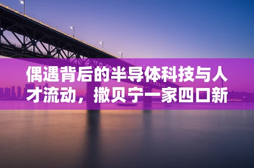 偶遇背后的半导体科技与人才流动，撒贝宁一家四口新疆行引发的思考