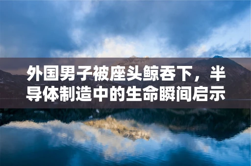 外国男子被座头鲸吞下，半导体制造中的生命瞬间启示