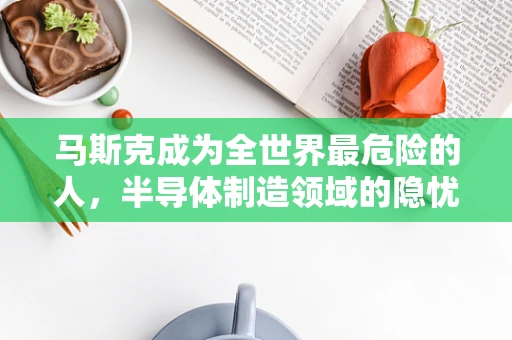 马斯克成为全世界最危险的人，半导体制造领域的隐忧与展望
