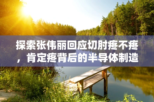 探索张伟丽回应切肘疼不疼，肯定疼背后的半导体制造安全与挑战