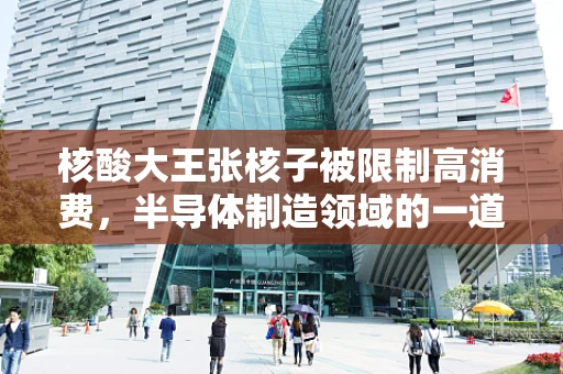 核酸大王张核子被限制高消费，半导体制造领域的一道警示之光？