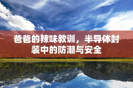 爸爸的辣味教训，半导体封装中的防潮与安全