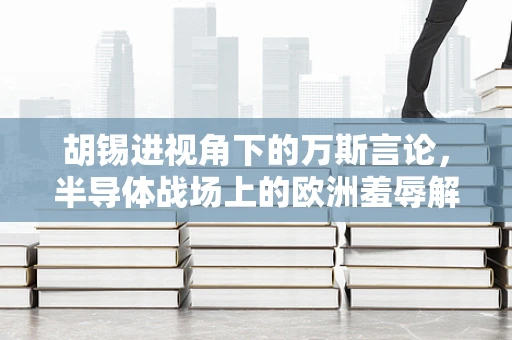 胡锡进视角下的万斯言论，半导体战场上的欧洲羞辱解读